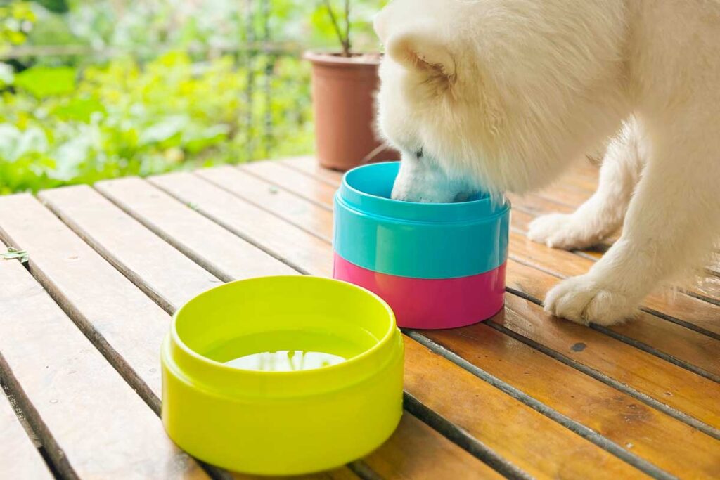 comedouro-empilhavel-1