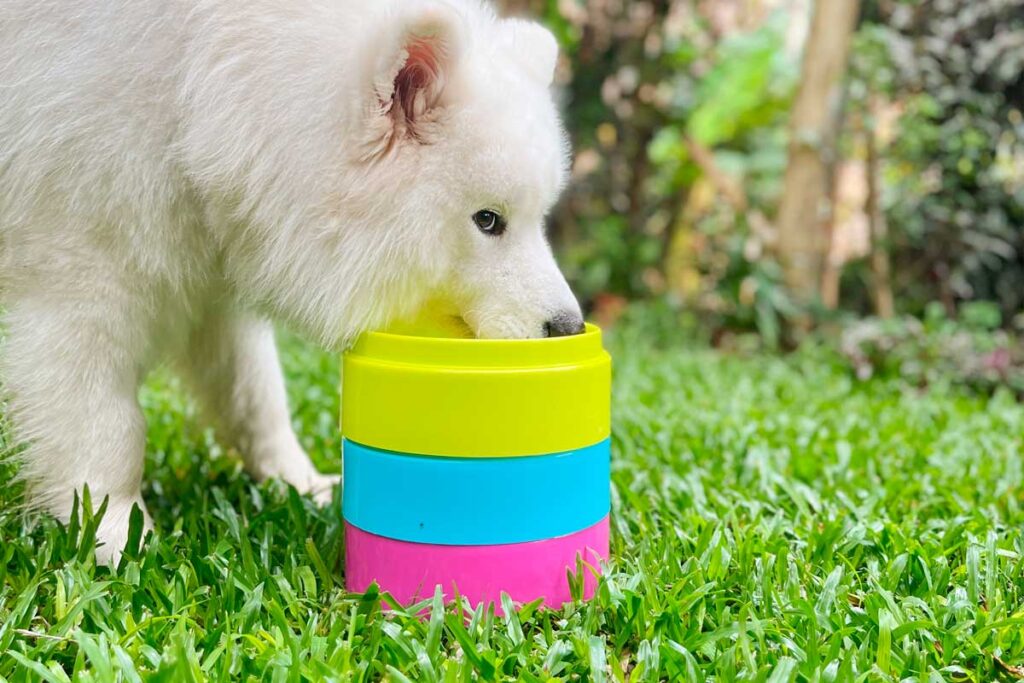 comedouro-empilhavel-2