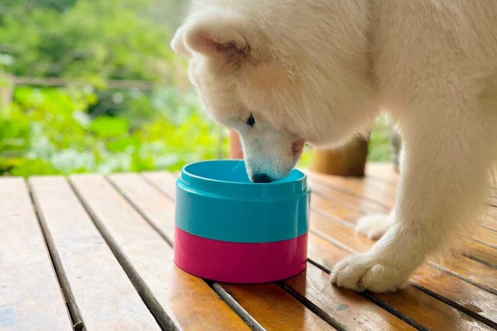 comedouro-empilhavel-3