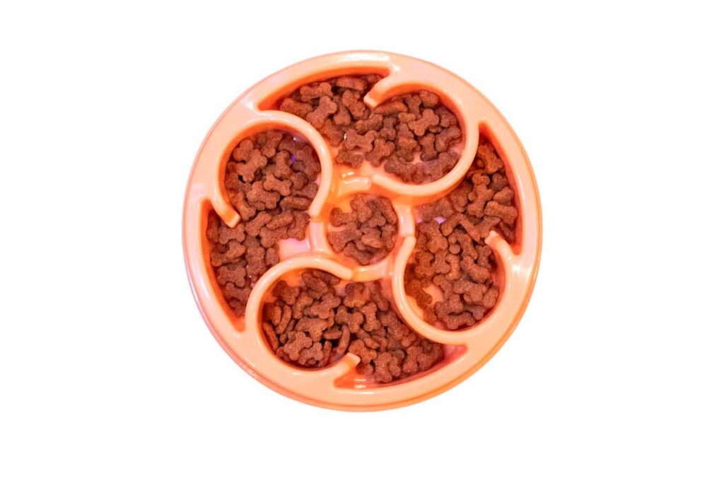 comedouro-lento-laranja