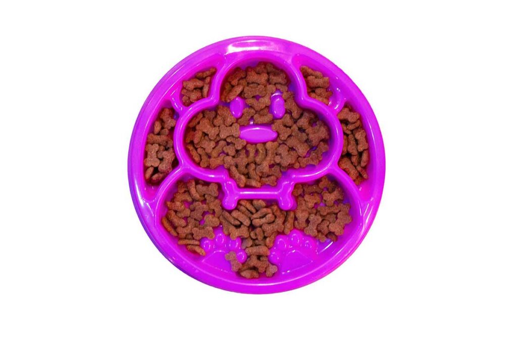 comedouro-lento-lilas